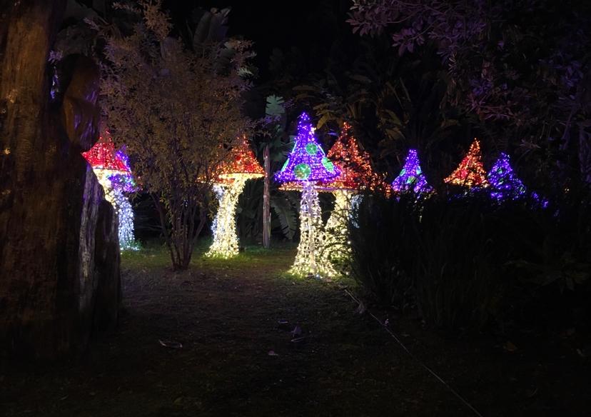 You are currently viewing Visiting the Luci d’Artista Light Show in Salerno