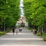 biennale gardens venice